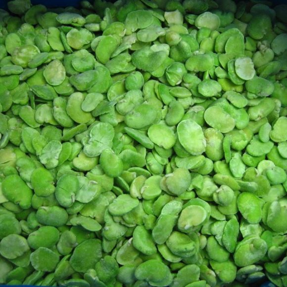 IQF Frozen Shelled Broad Beans 580x580